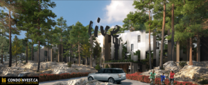 outside view of tall pine trees bracketing The Residences at Muskoka Bay